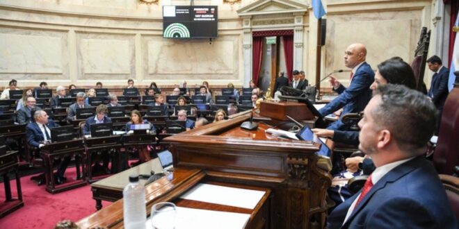 Suspenden las PASO nacionales: el Senado aprobó la medida para 2025